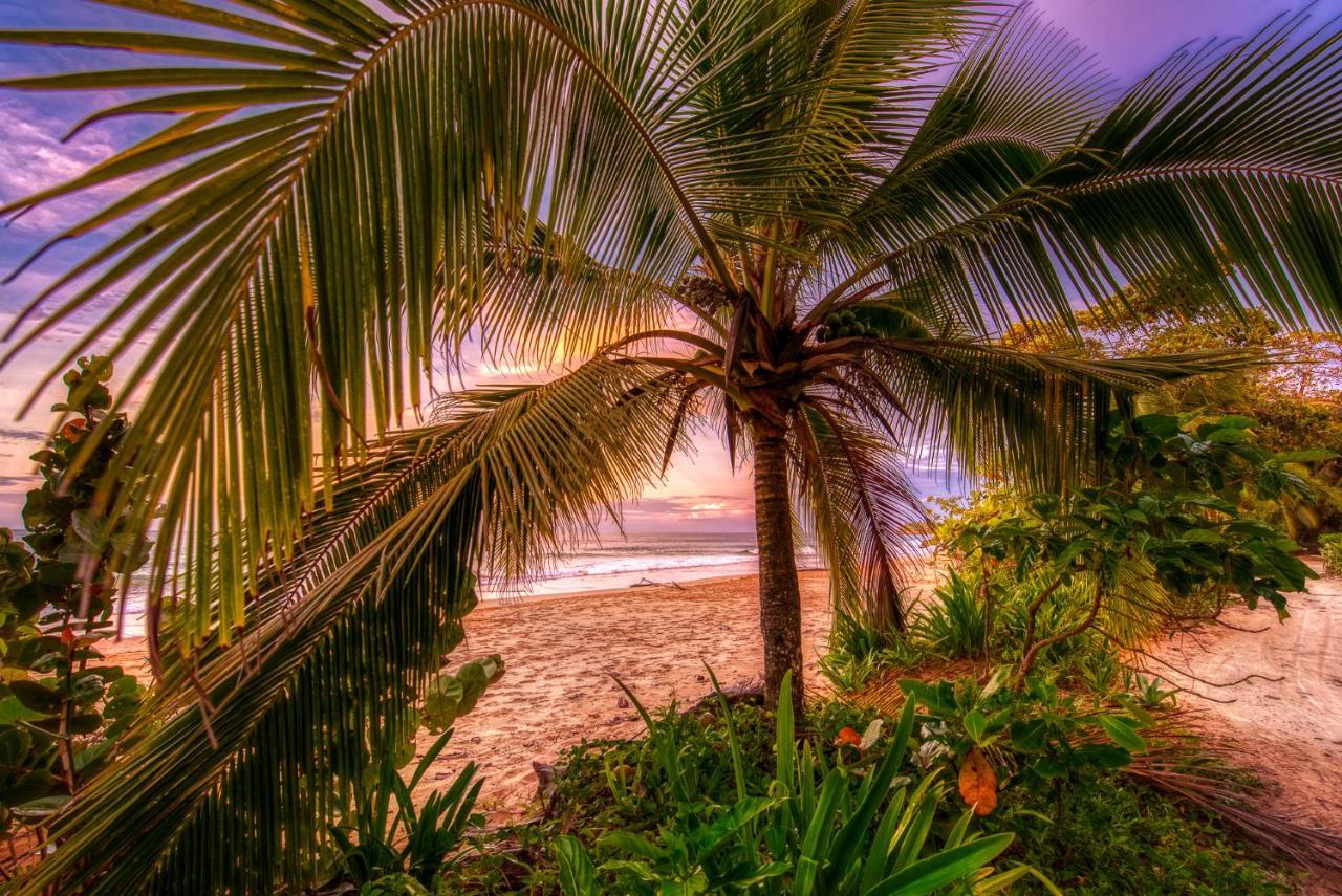 Oasis Bluff Beach Bocas Town Exterior photo