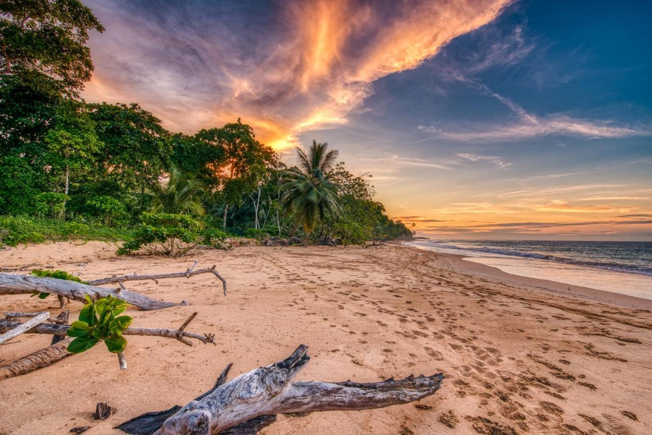 Oasis Bluff Beach Bocas Town Exterior photo