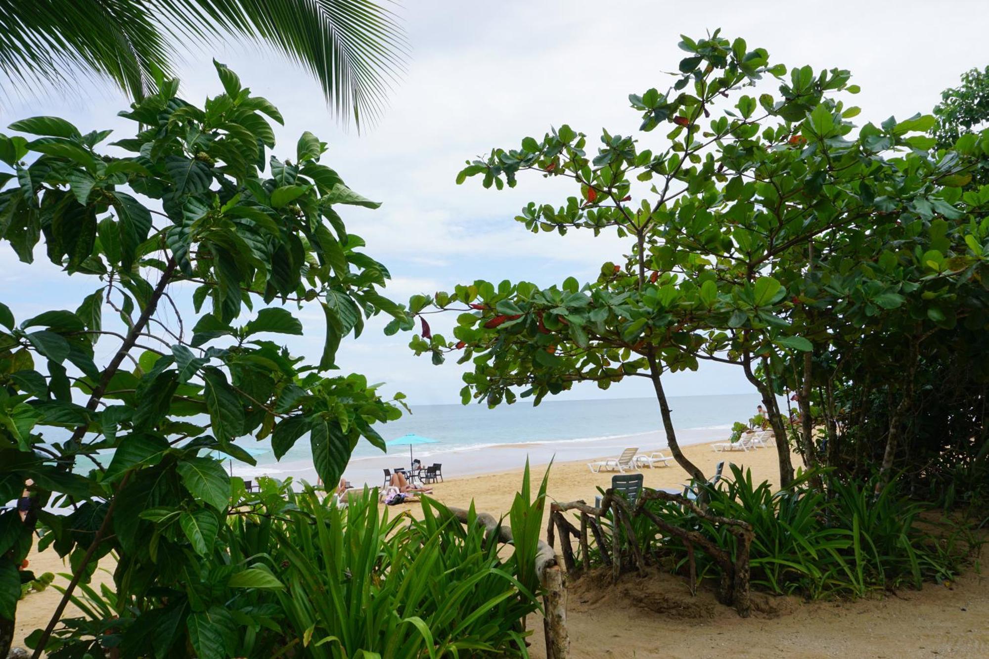 Oasis Bluff Beach Bocas Town Exterior photo
