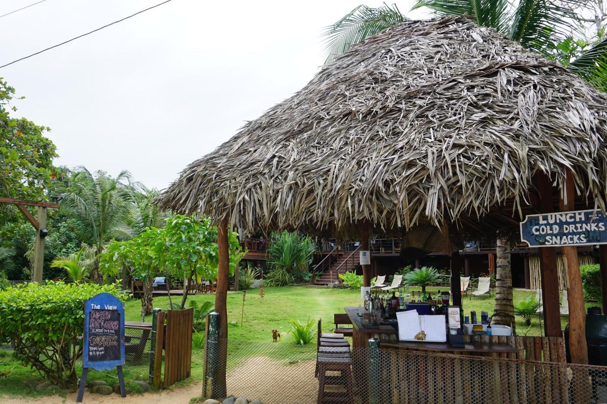 Oasis Bluff Beach Bocas Town Exterior photo